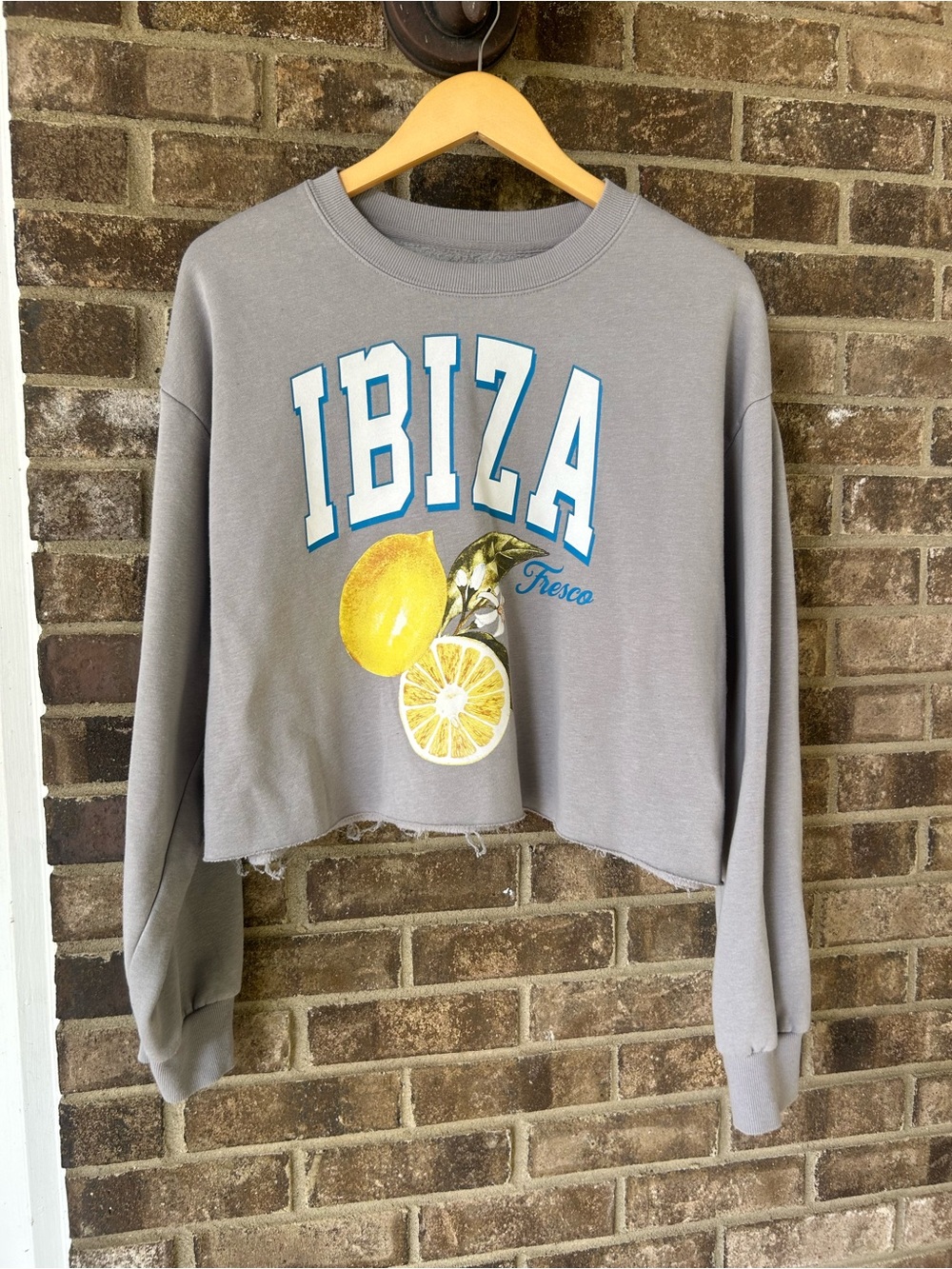 Goodie Two Sleeves Ibiza Fresco Cropped Sweatshirt Gray Lemon Y2K Coastal